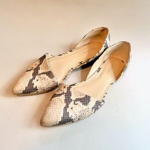 Calvin Klein Hillaria Classy Monochromatic Flat Pointy Snake Sandal 7.5
